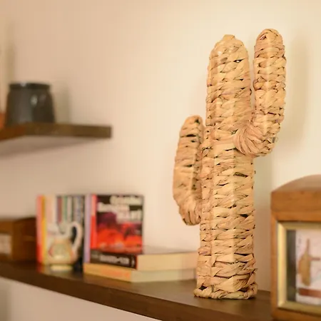 Chale Con Terraza En La Costa